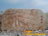 5.3米晚霞红松树