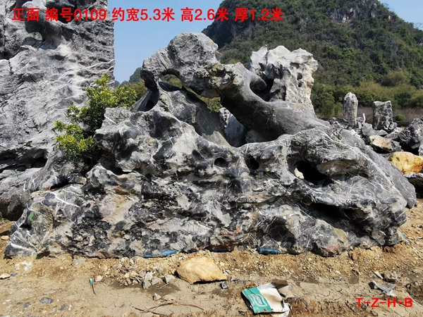 黑太湖石.jpg